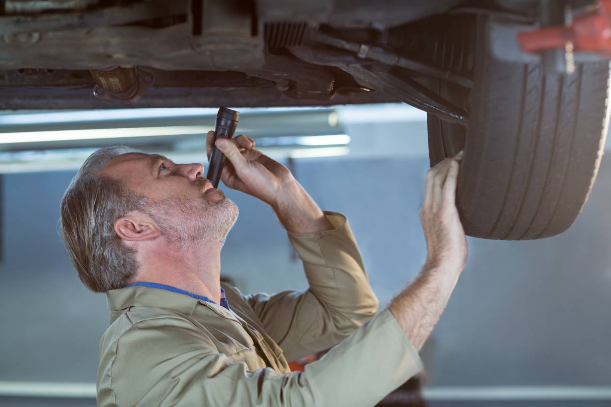 Does Rust Check Work in Canada’s Harsh Winters